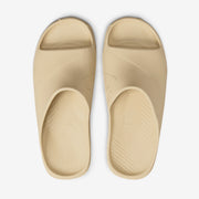 Main