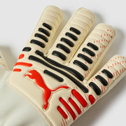 GALLERY_2