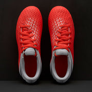 Gallery_5