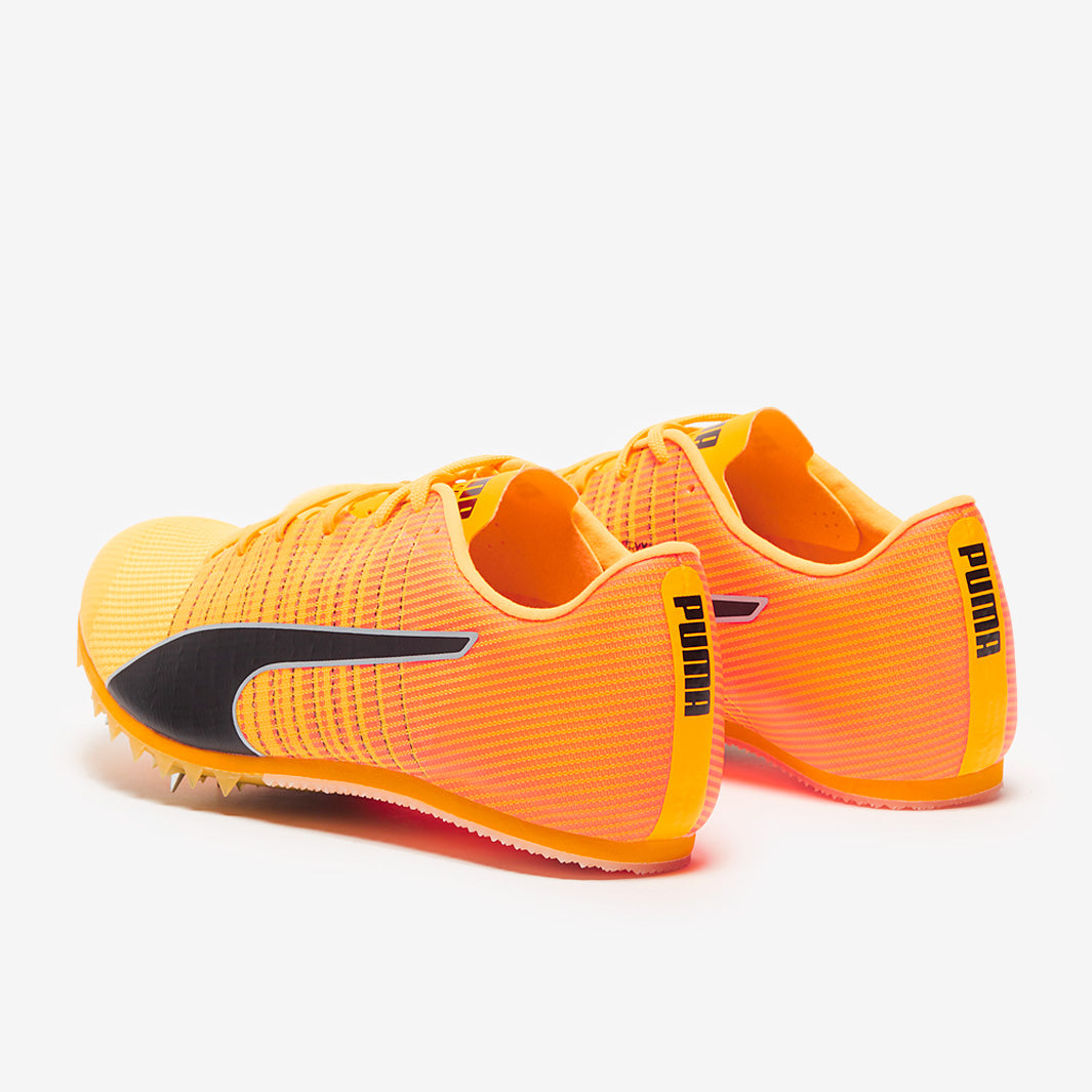 Gallery_4