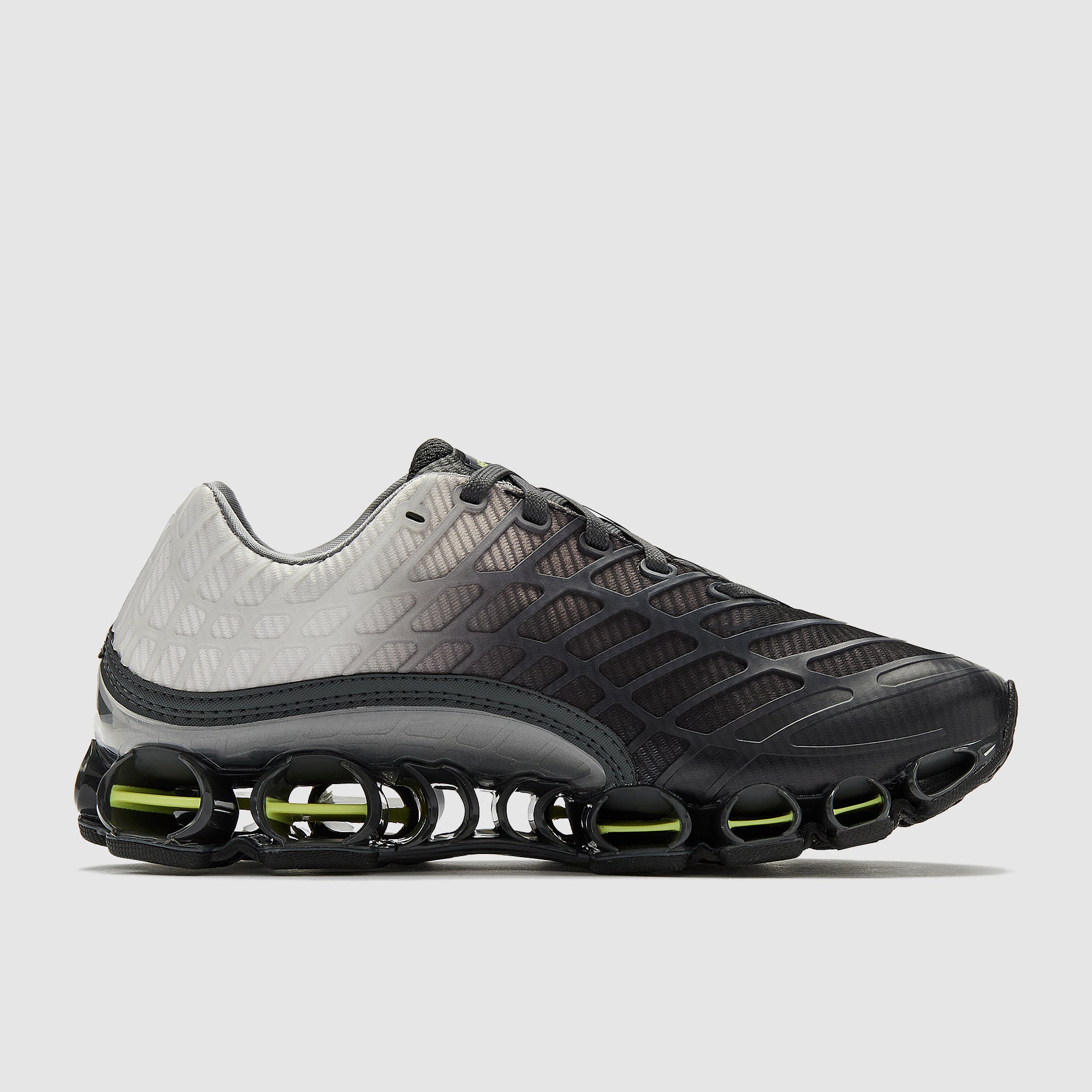GALLERY_2