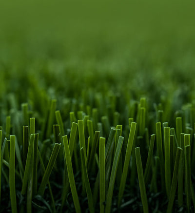 Artificial Grass (AG)