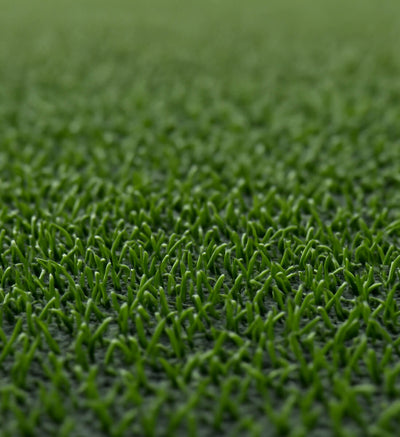 Turf (TF)